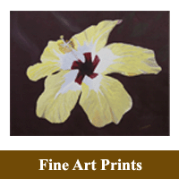 Stand alone Print image of Bloom of the Hibiscus as a hyperlink to the Fine Art Prints information page