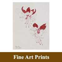 Stand alone Print image of Red Fuchsia as a hyperlink to the Fine Art Prints information page