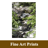 Stand alone Print image of Water Tumbling Down as a hyperlink to the Fine Art Prints information page