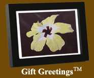 Image of a framed Gift Greetings depicting the Bloom of the Hibiscus print
