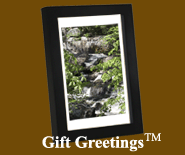Image of a framed Gift Greetings depicting the Water Tumbling Down print