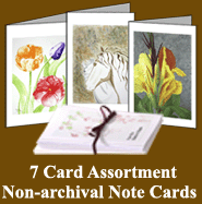 This image of assorted non-archival note cards is used as a hyperlink image to the shopping cart product description page for Assorted Note Cards