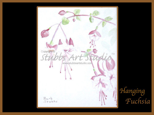 This is the enlarged image of the Hanging Fuschia Fine Art Print