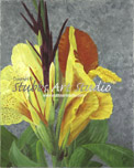 A thumbnail image of an acrylic painting entitled Cleopatra Canas that is available as a Fine Art Print. Brightly colored, brown speckled, yellow canas flowers against a blue-grey background capture the eye while leafs, that appear to come off the canves, draw you in to the bold beauty of these attractive and interesting flowers.