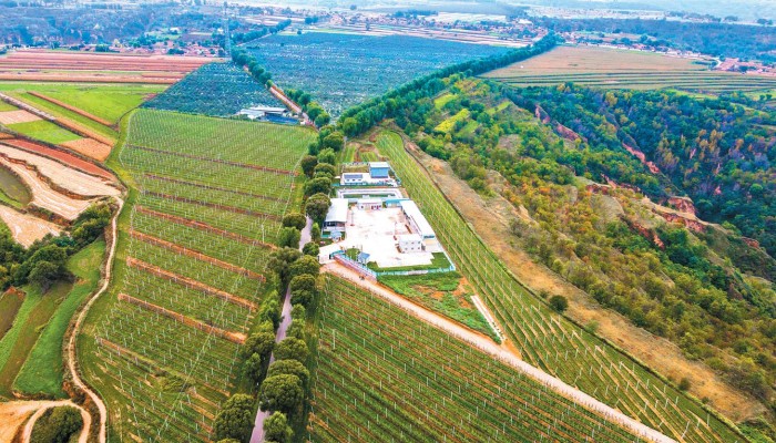 乘風(fēng)破浪會有時(shí) 策馬揚(yáng)鞭再奮蹄——甘肅建投生態(tài)公司拓市場、強(qiáng)管理、謀發(fā)展紀(jì)實(shí)