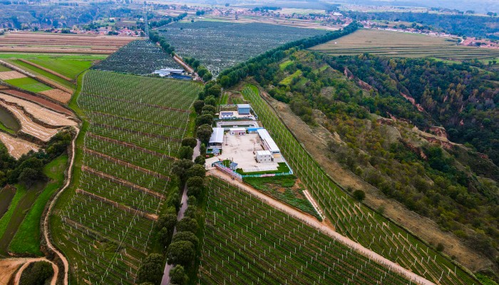 【國企改革深化提升行動】守正創(chuàng)新 精業(yè)篤行 在聚焦高質(zhì)量發(fā)展中全面提升董事會建設(shè)運(yùn)行水平