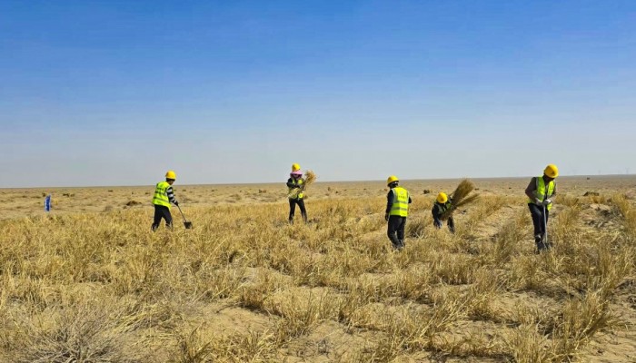 迎風(fēng)奮進(jìn) 實(shí)干爭(zhēng)先--酒泉市黑河中游防沙治沙林草綜合治理項(xiàng)目建設(shè)按下“快進(jìn)鍵”