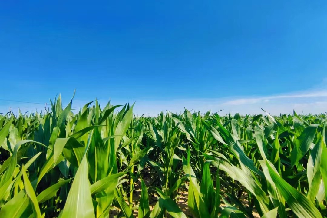 465b51f03eab5d153239c0098ea30f2.jpg 465b51f03eab5d153239c0098ea30f2.jpg