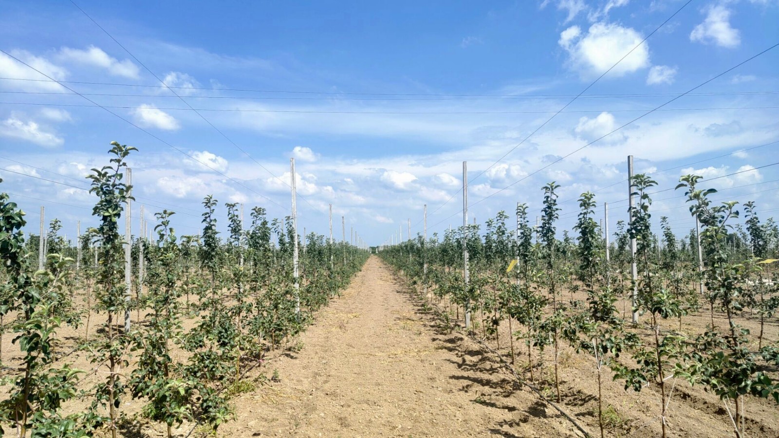 952543EE-8596-46B7-8CF6-D54EF8AE1861-16360-00000364D3507D7D.jpg 952543EE-8596-46B7-8CF6-D54EF8AE1861-16360-00000364D3507D7D.jpg